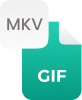 MKV To GIF