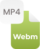 MP4 To WEBM